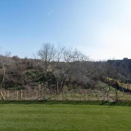 In Near The Appartement *